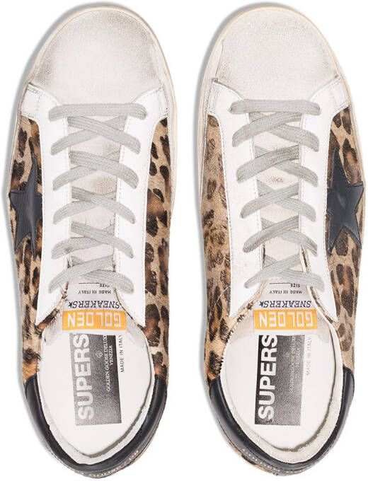 Golden Goose Super-Star leopard print sneakers Brown