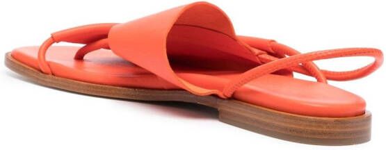 Hereu Clava leather sandals Orange