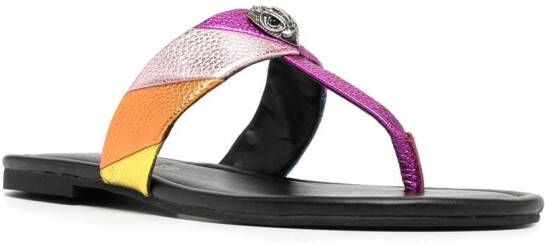 Kurt Geiger London Kensington flat sandals Multicolour