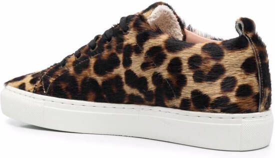 Manebi leopard-pattern low-top sneakers Brown
