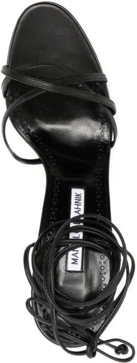 Manolo Blahnik Leva 105mm sandals Black