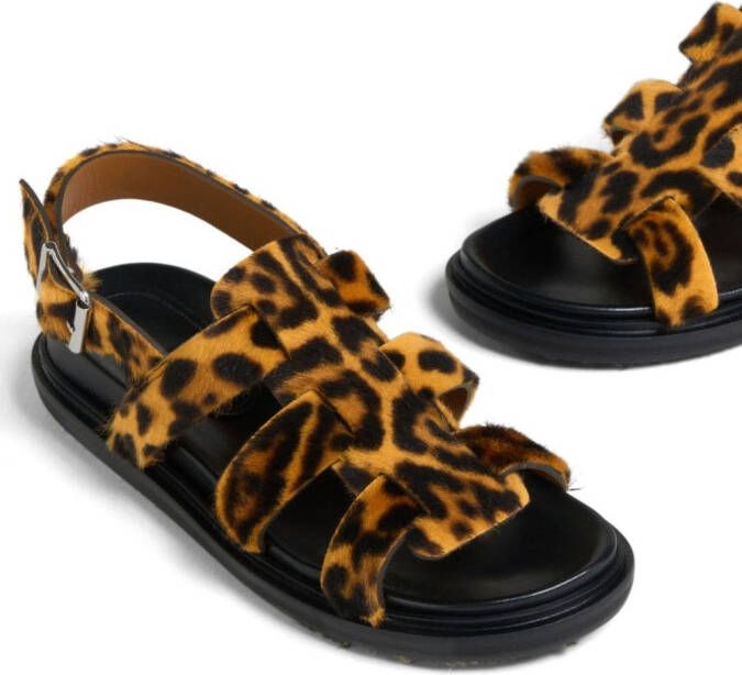 Marni leopard-print gladiator sandals Brown