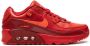 Nike Kids Air Max 90 "City Special Chicago" sneakers Red - Thumbnail 2