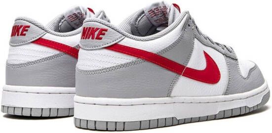 Nike Kids Dunk Low sneakers Grey