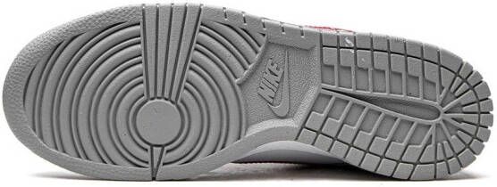 Nike Kids Dunk Low sneakers Grey
