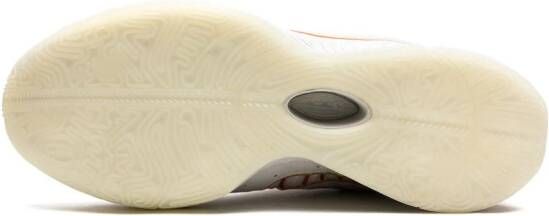 Nike LeBron 21 "Akoya" sneakers White