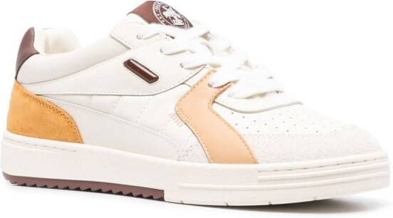 Palm Angels Palm University low-top sneakers Neutrals