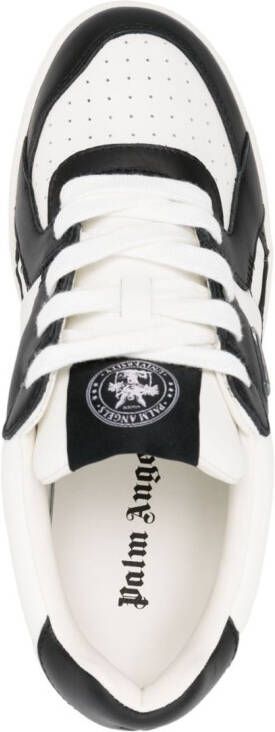 Palm Angels University low-top sneakers Black