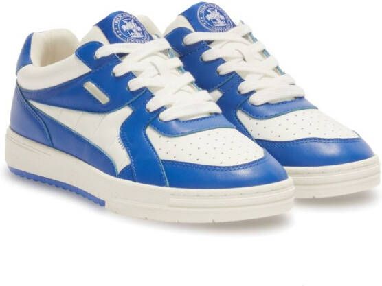 Palm Angels University lace-up leather sneakers Blue