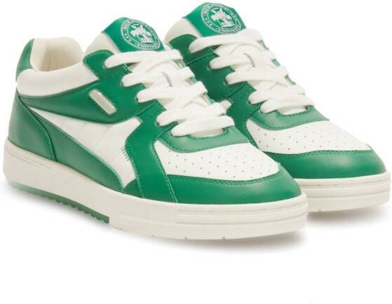 Palm Angels University lace-up leather sneakers Green