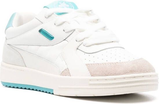 Palm Angels University low-top sneakers White