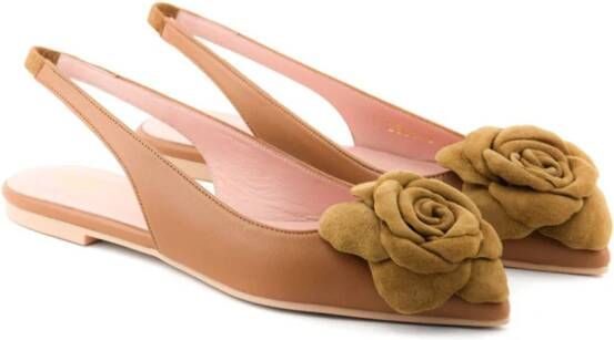 Paul Warmer x Pretty Ballerina Rose ballerina shoes Brown