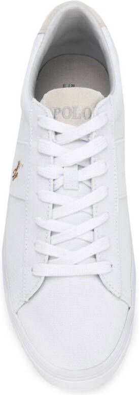 Polo Ralph Lauren lace-up sneakers White