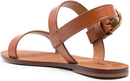 Polo Ralph Lauren triple-strap flat sandals Brown