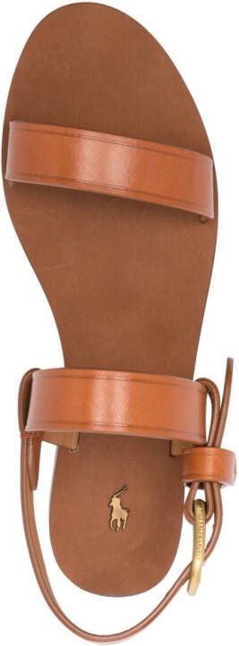 Polo Ralph Lauren triple-strap flat sandals Brown