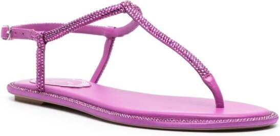 René Caovilla Diana rhinestone-embellished flat sandals Purple