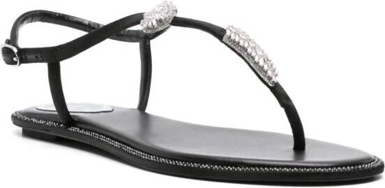 René Caovilla Katy crystal-embellished sandals Black