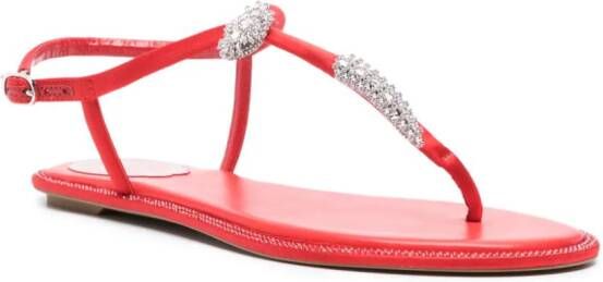 René Caovilla Katy crystal-embellished sandals Red