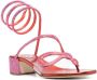 René Caovilla rhinestone-embellished mid-heel sandals Red - Thumbnail 2