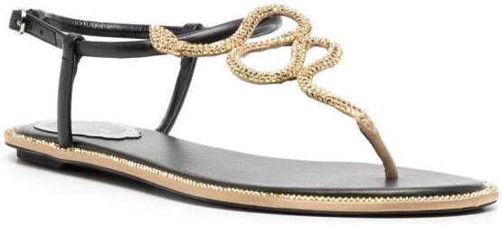 René Caovilla snake crystal embellished flat sandals Black