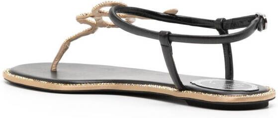 René Caovilla snake crystal embellished flat sandals Black