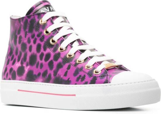 Roberto Cavalli animal-print hi-top sneakers Pink