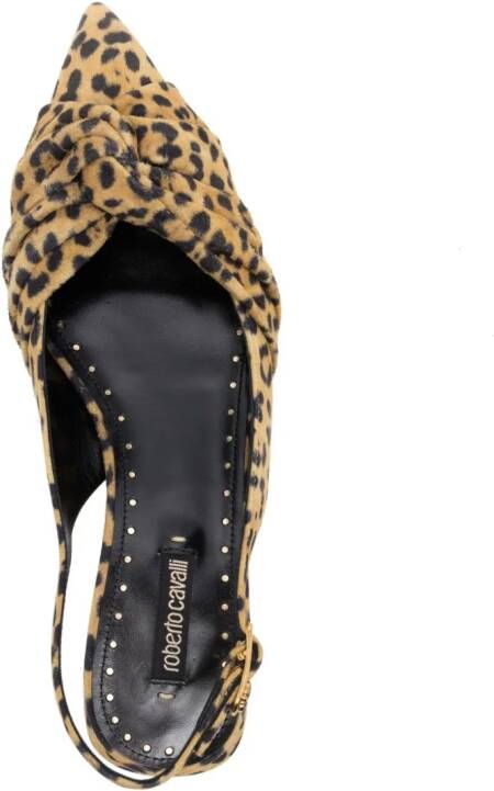 Roberto Cavalli Le Pettegole leopard-print mules Brown