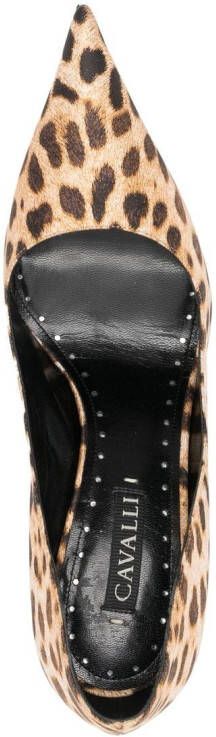 Roberto Cavalli leopard-print pumps Brown