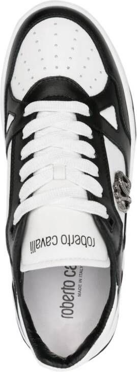 Roberto Cavalli RC-plaque leather sneakers Black