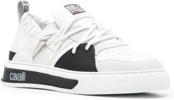 Roberto Cavalli Tiger Tooth low-top sneakers White