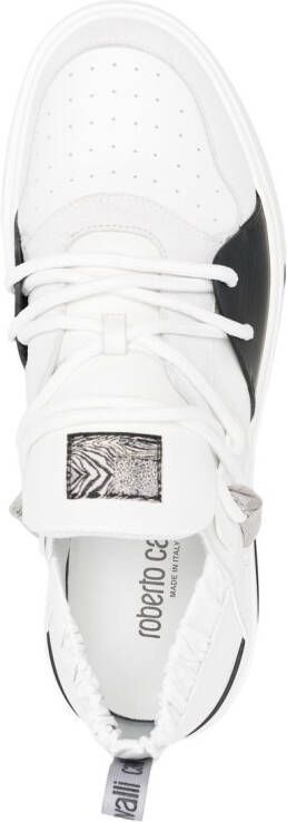 Roberto Cavalli Tiger Tooth low-top sneakers White