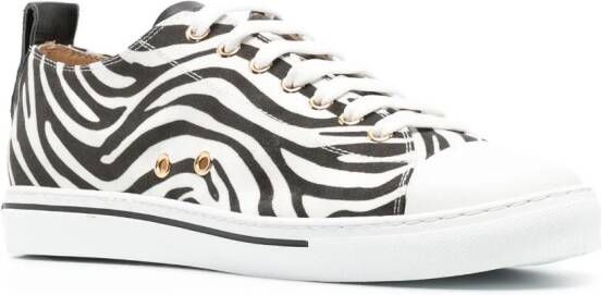 Roberto Cavalli zebra-print leather sneakers White