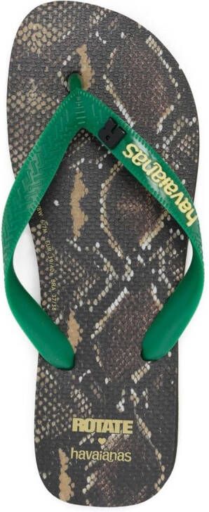 ROTATE snake-print thong-strap flip flops Green