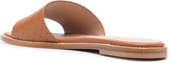 Scarosso Federica interwoven sandals Brown