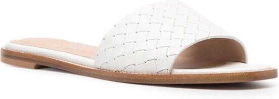 Scarosso Federica interwoven sandals White