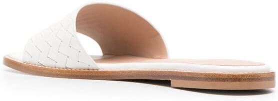 Scarosso Federica interwoven sandals White