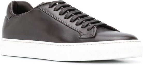 Scarosso low top Ugo sneakers Brown