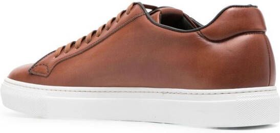 Scarosso Ugo low-top sneakers Brown