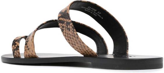 Senso Clyde III snakeskin-effect sandals Brown