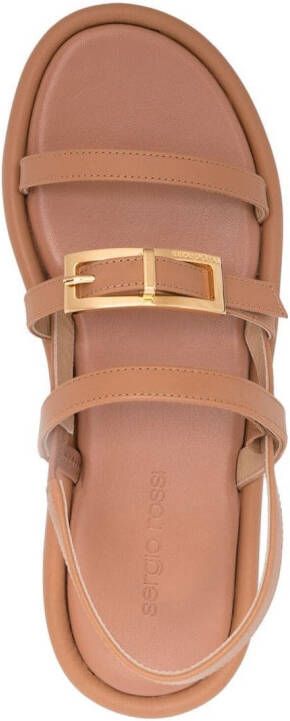 Sergio Rossi strap design leather sandals Brown