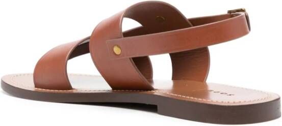Soeur Amazonia leather sandals Brown