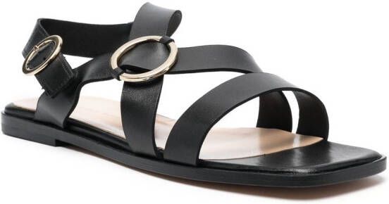 Tila March Gab square-toe sandals Black