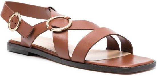 Tila March Gab square-toe sandals Brown