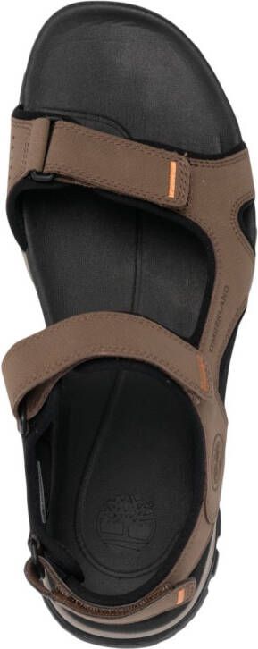 Timberland touch-strap leather sandals Brown