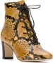 Tory Burch Vienna 70mm lace-up booties Gold - Thumbnail 2