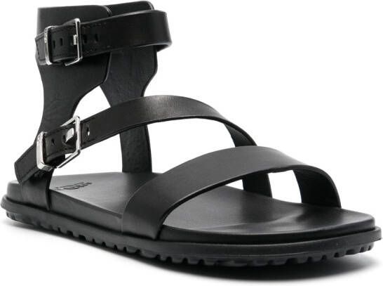UGG ankle-strap buckle sandals Black
