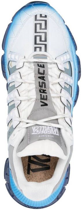 Versace Trigreca lace-up sneakers Blue