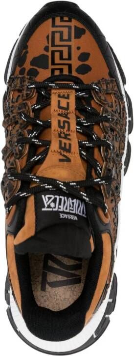 Versace Trigreca Dalmatian-print sneakers Brown