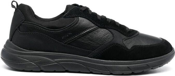 Geox Portello low-top sneakers Black