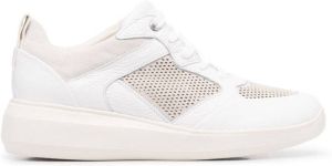 Geox Rubidia low top sneakers White